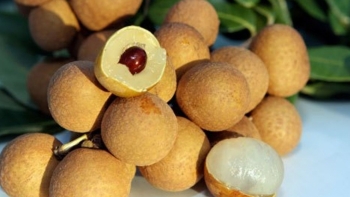 Quả nhãn và tiềm năng xuất khẩu sang thị trường Nhật Bản