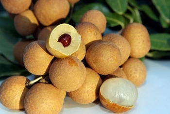 Quả nhãn và tiềm năng xuất khẩu sang thị trường Nhật Bản