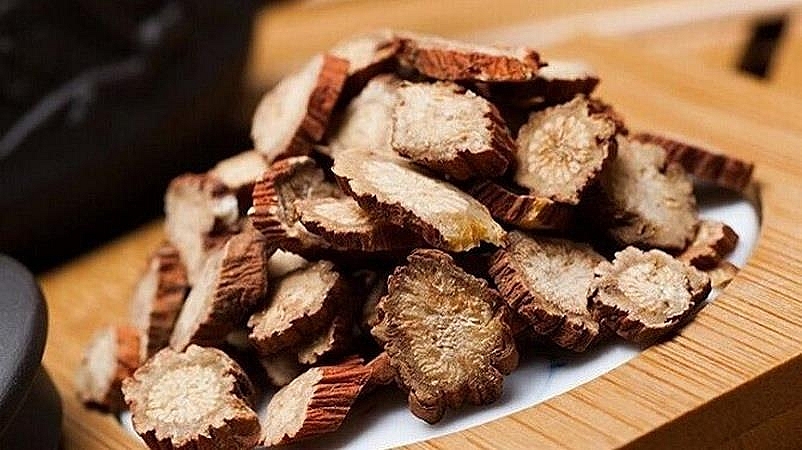 Dược liệu Đan sâm bị yêu cầu thu hồi do không đạt chất lượng