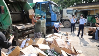 Tiêu hủy lô Đông trùng hạ thảo "VIP" bị bắt giữ tại Hà Nội