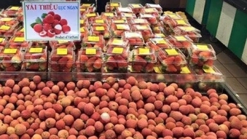 Bảo hộ nhãn hiệu ở nước ngoài: Không để doanh nghiệp chông chênh