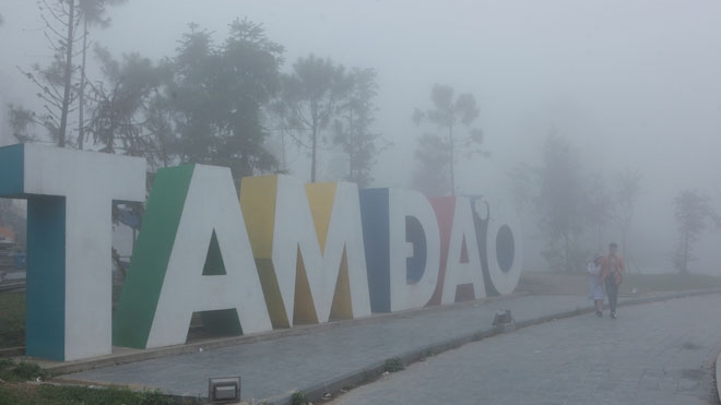 Review Tam Đảo: Nên đi du lịch Tam Đảo vào mùa nào?