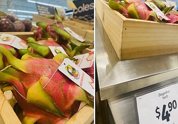 Thanh long được bán tại siêu thị Coles ở khu Bondi Junction và sẽ sớm tiêu thụ hết