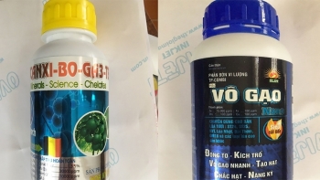 Xử phạt 160 triệu đồng một doanh nghiệp sản xuất phân bón giả