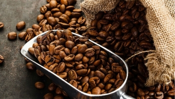 Giá cà phê hôm nay 25/7: Tăng nhẹ