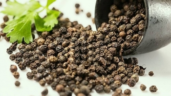 Giá hồ tiêu hôm nay 25/7: Ổn định