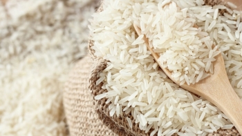 TT lúa gạo châu Á: Giá gạo xuất khẩu Việt Nam chạm đáy hơn 16 tháng