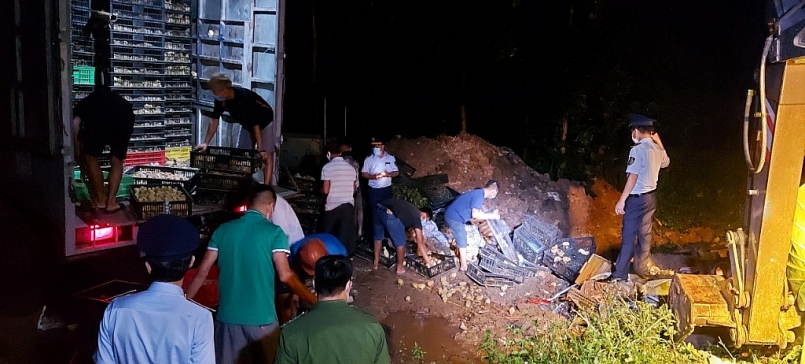 Toàn bộ tang vậy được tiêu hủy theo quy định.