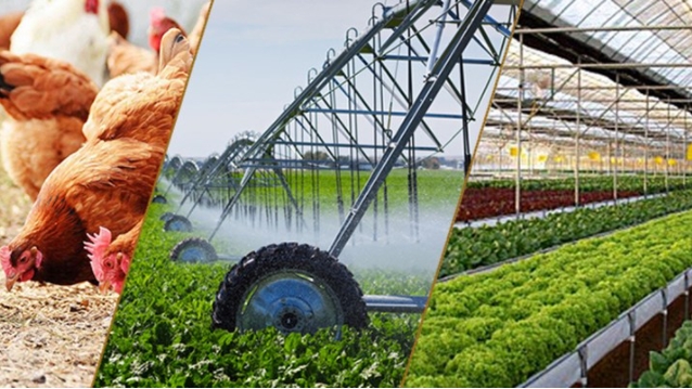 Sản xuất nông, lâm nghiệp và thủy sản: Thuận lợi và khó khăn đan xen