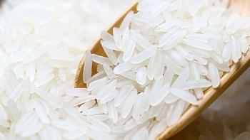 Giá gạo hôm nay 30/7: Giá gạo nguyên liệu ổn định