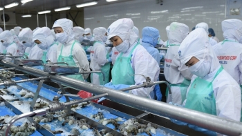 Hoa Kỳ sẽ không ban hành biện pháp hạn chế thương mại đối với hàng hóa xuất khẩu của Việt Nam