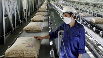 Áp lực từ thị trường xuất khẩu xi măng