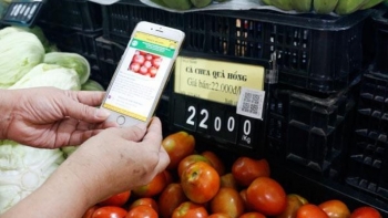 Tạo "luồng xanh" để hàng Việt rộng đường ra biển lớn