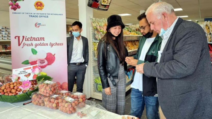 Hàng công nghiệp tiêu dùng của Việt Nam có cơ hội mở rộng thị trường tại Hà Lan