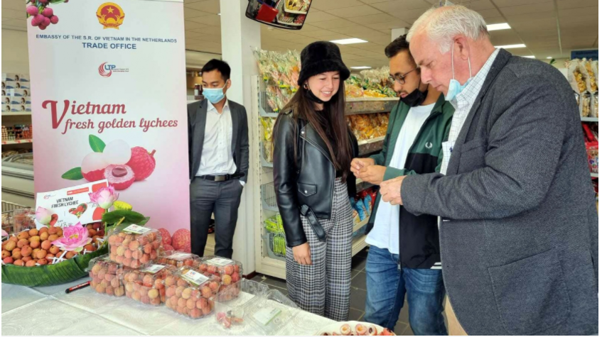 quả vải tươi của Việt Nam đến với người Hà Lan ngày 19/6.