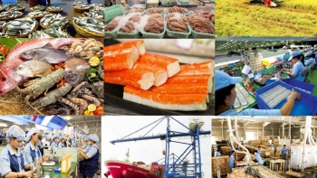 Một năm thu quả ngọt từ Hiệp định EVFTA