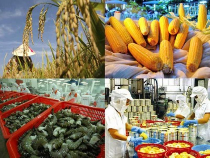 Nhập khẩu giấy các loại 6 tháng đầu năm 2021 trị giá trên 1,12 tỷ USD