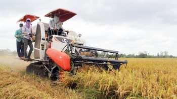 Rà soát kế hoạch sản xuất, tiêu thụ nông sản trong điều kiện dịch COVID-19