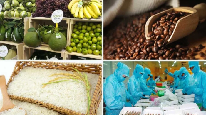 Cơ hội cho nông sản Việt vào thị trường Đức còn rất lớn