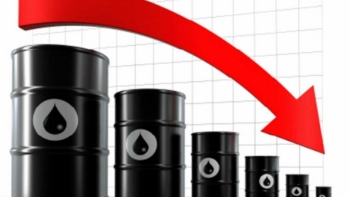 Giá xăng dầu hôm nay 8/8: Một tuần sụt giảm mạnh
