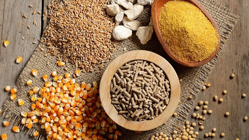 Nhập khẩu thức ăn gia súc và nguyên liệu trong tháng 7/2021 tăng mạnh trở lại