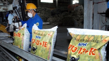 Xuất khẩu phân bón 7 tháng đầu năm 2021 tăng mạnh