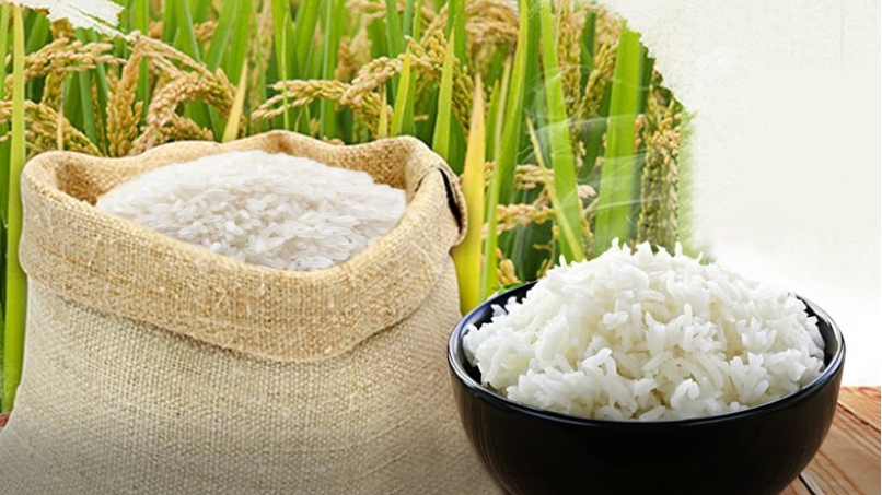 Giá gạo hôm nay 17/8: Ổn định