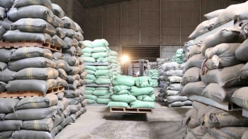 Xuất cấp hơn 4.000 tấn gạo hỗ trợ người dân gặp khó khăn do dịch COVID-19