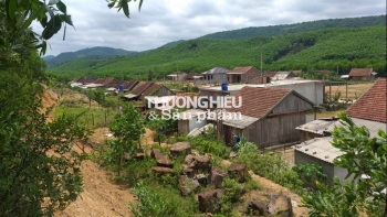 Quảng Bình: Dự án khẩn cấp, tốc độ “rùa bò”