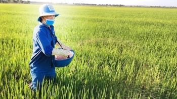 Giá phân bón tăng "phi mã" sẽ "ăn" hết lợi nhuận của nông dân