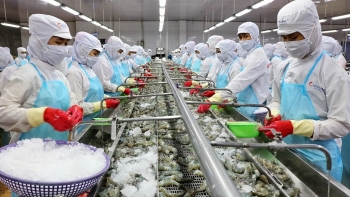 VASEP đề xuất giảm 30% tiền điện cho doanh nghiệp thuỷ sản 6 tháng cuối năm