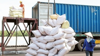 Dịch Covid -19 kéo giá gạo xuất khẩu xuống mức thấp