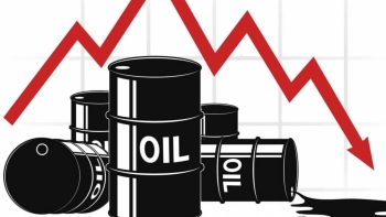 Giá xăng dầu hôm nay 22/8 ghi nhận tuần giảm mạnh