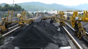 Ưu tiên nguồn hàng phục vụ thị trường nội địa