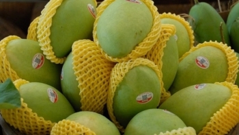 EU tăng nhập khẩu xoài, ổi, măng cụt từ Việt Nam