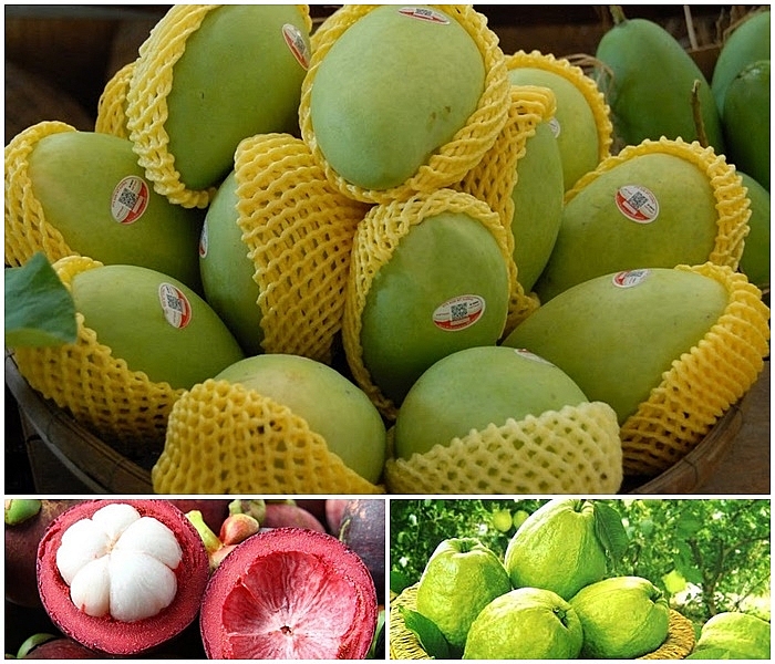 EU tăng nhập khẩu xoài, ổi, măng cụt từ Việt Nam