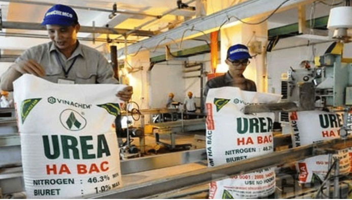 Quan ngại khả năng hoạt động của Phân đạm và Hóa chất Hà Bắc