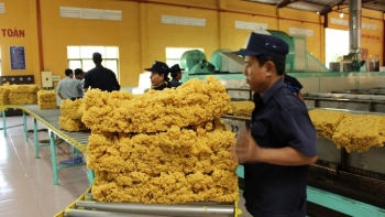 Xuất khẩu cao su tăng trưởng tốt