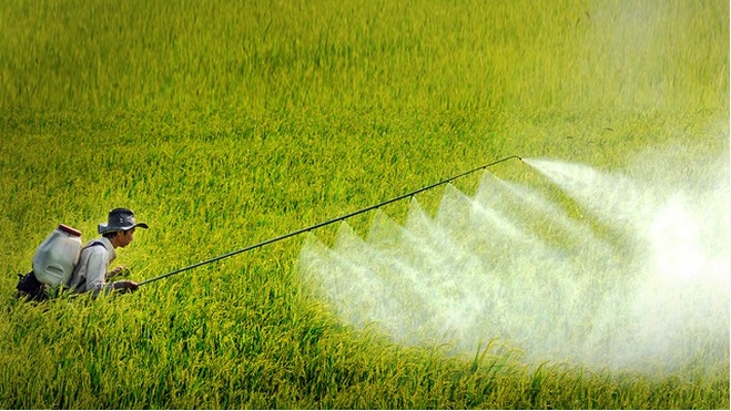 Báo động “đỏ” việc lạm dụng thuốc bảo vệ thực vật và phân bón vô cơ tại ĐBSCL