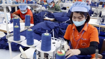 Hiệp định EVFTA: “Liều thuốc trợ lực” cho doanh nghiệp vượt qua đại dịch