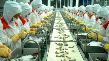 Chính phủ giảm tiền điện cho ba nhóm doanh nghiệp bị ảnh hưởng dịch COVID-19