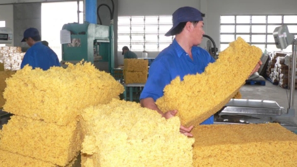 Dịch COVID-19 kéo xuất khẩu cao su nửa đầu tháng 8 giảm mạnh