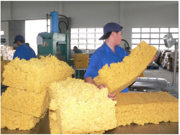 Dịch COVID-19 kéo xuất khẩu cao su nửa đầu tháng 8 giảm mạnh