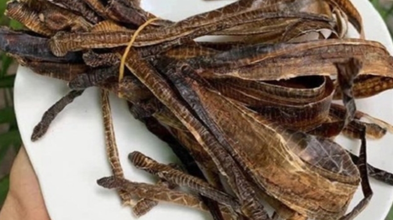 Bộ Y tế chưa cấp phép sản phẩm nào có thành phần địa long chữa COVID-19