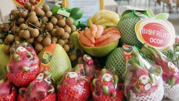 Mở đường xuất khẩu nông sản Việt Nam sang các nước EU