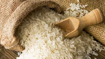 Giá gạo hôm nay 17/9: Tiếp tục giảm