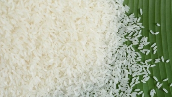 Cập nhật giá gạo chiều nay 25/9: Gạo xuất khẩu giảm