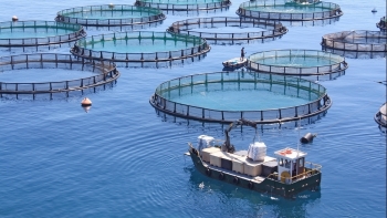 Đề xuất điều kiện cho thuê, chuyển nhượng quyền sử dụng khu vực biển