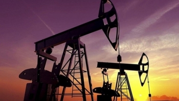 Cập nhật giá xăng dầu hôm nay 29/9: Quay đầu tăng