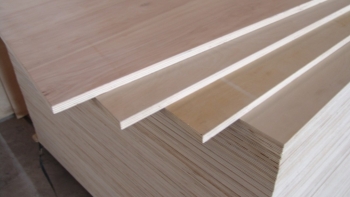 Hoa Kỳ gia hạn ban hành kết luận điều tra chống lẩn tránh thuế với gỗ dán cứng Việt Nam